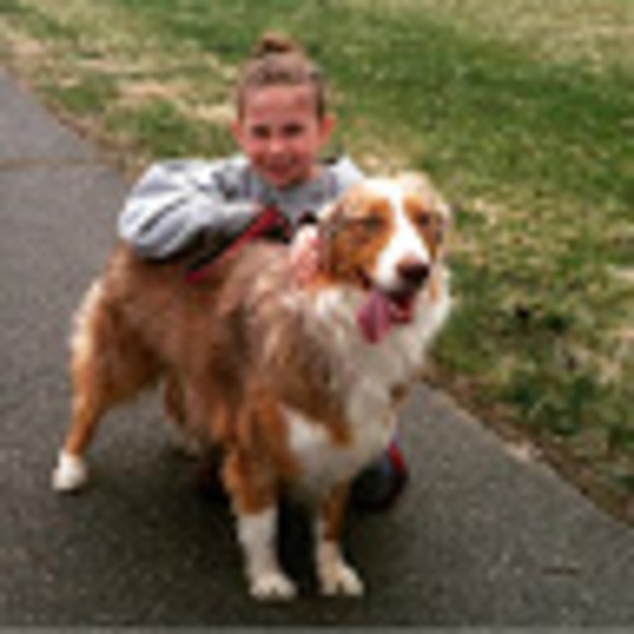 Meet your Posher, Sofia - Picture 1 of 1